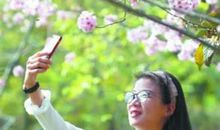 [2016期末征文]春意盎然_500字