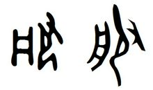 谎言带给我的幸福_450字