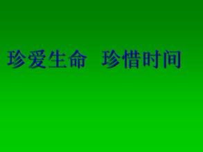 珍惜时间，爱生活_550字