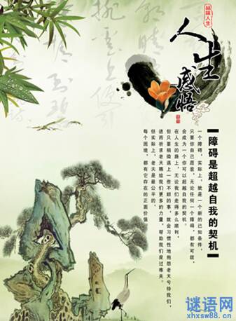 感觉生活_900字