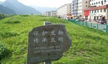 保护文物的作文：保护文物_500字