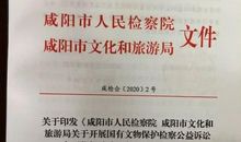 保护文物的作文：保护文物_700字