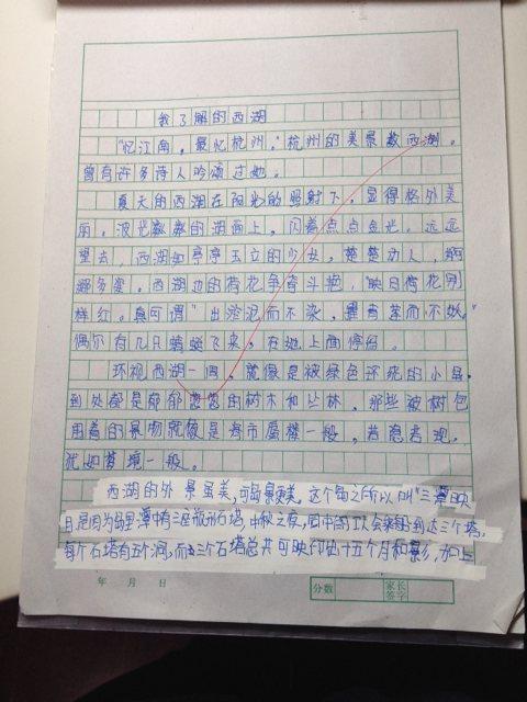 新年的一天_350字