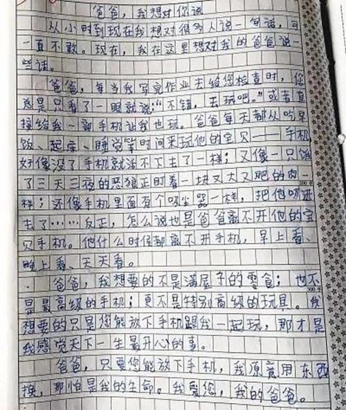 叙事组成：放下手机_600字