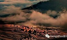 闲谈——取法自然_2000字