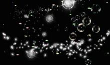 美丽的泡泡_300字