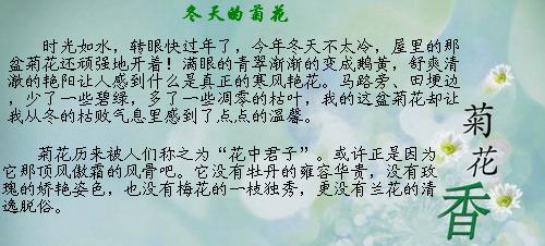 每个都是国王_400字
