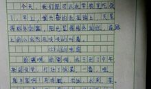 叙事作文：牛奶加工厂一日游_600字