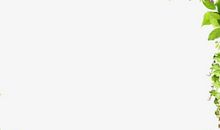 好段好句素材：关于春天的优美段落_550字