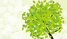 保护环境 绿化家园_2000字