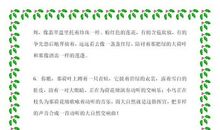 描写春天景物的好句好段_900字