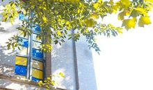 描写春天阳光的唯美好句_800字