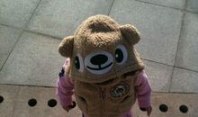 我的玩具——小毛熊_200字