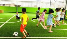 我和世界杯——我的最爱_500字