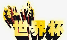 “酸甜苦辣”世界杯_900字