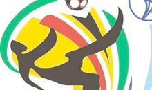 畅想2010年世界杯_550字