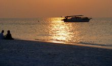 夏日的回忆_600字