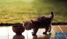 真正的坚强_900字