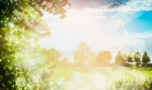 可爱的夏天_300字