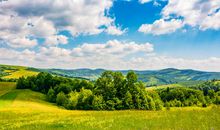 夏天的风景_650字