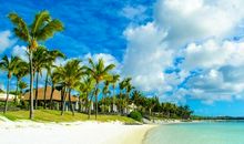 美好的夏天_800字