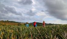 致，永不去的记忆_500字