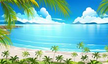 迷人的夏天_300字