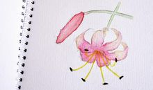 记忆里葬一朵花_900字