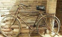 记忆中的二八大杠_1500字