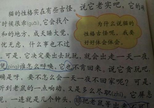 有完美的_500字