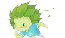 运动会上我不当看客_800字