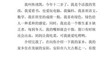 夏天的滋味_450字