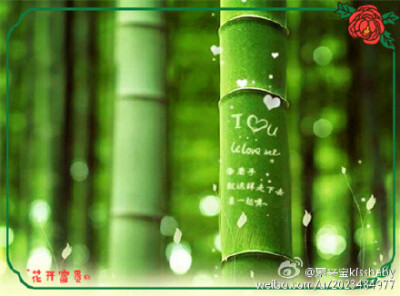 是时候留下白记忆_2000字