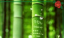 时光留白的记忆_2000字