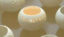 年少的标本_400字