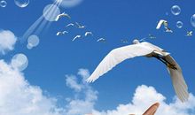 一封寄不出去的信_700字