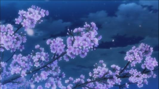 樱花，我在想_1500字