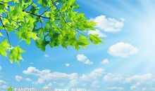 感悟天空的美丽_900字