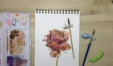 珍藏逝去年华_300字