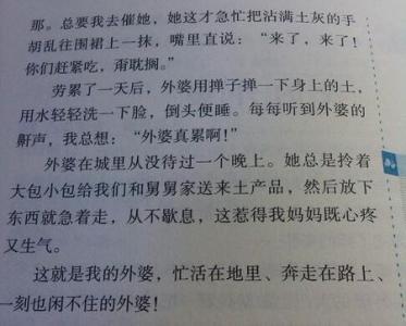 描述字符的精彩段落_900字