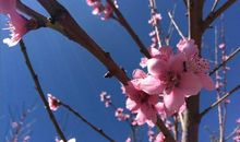 等待花开的季节_750字