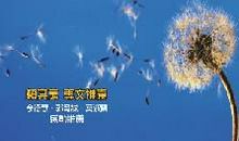 微笑着，说再见_450字