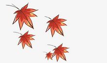 正值秋叶飘落时_400字