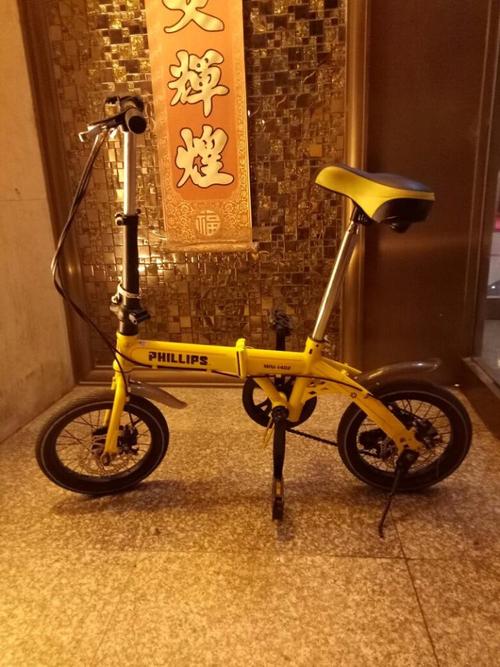 我的小自行车_300字