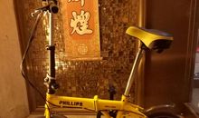 我的小自行车_300字