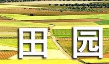 初一期末考试作文：美丽的田园风光（七）_500字