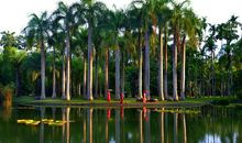 西双版纳，我来了_200字