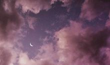 美丽的月夜_100字