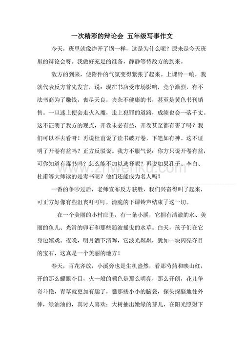 一个精彩的辩论_600字