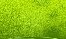 我的绿色之旅_1200字